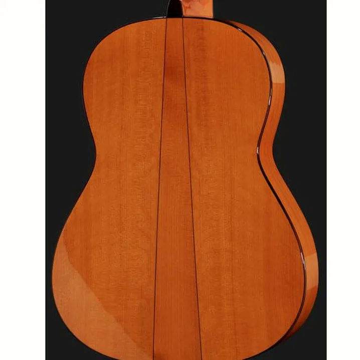 Recensione e Test Felipe Conde FP-14 Flamenco Estudio