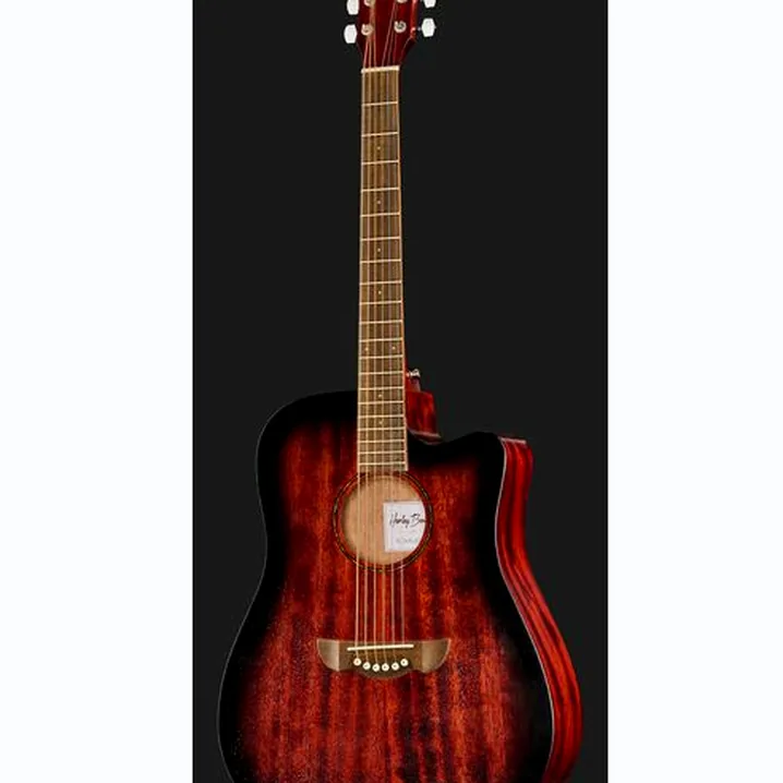 Recensione e Test: Harley Benton Delta Blues DCE Set 1