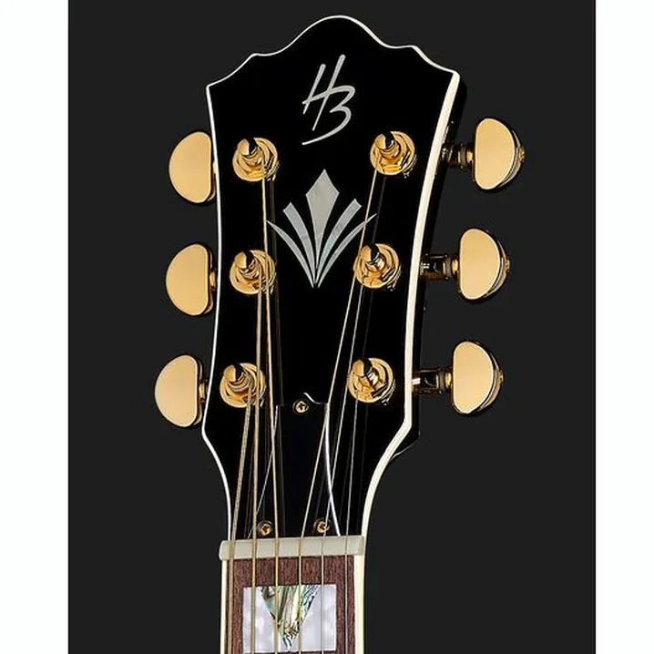 Recensione e Test: Harley Benton HB Custom Line King-CE BK
