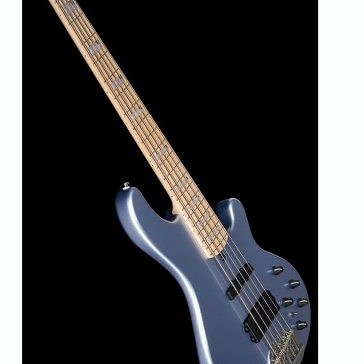 Recensione e Test Lakland Skyline 55-02 Custom 5 IBM