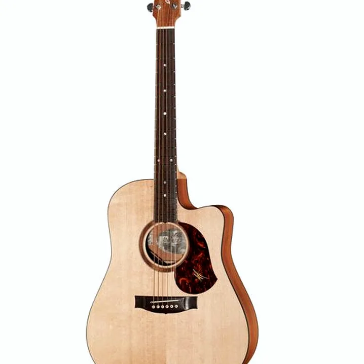 Recensione e Test: Maton SRS70C w/ Case