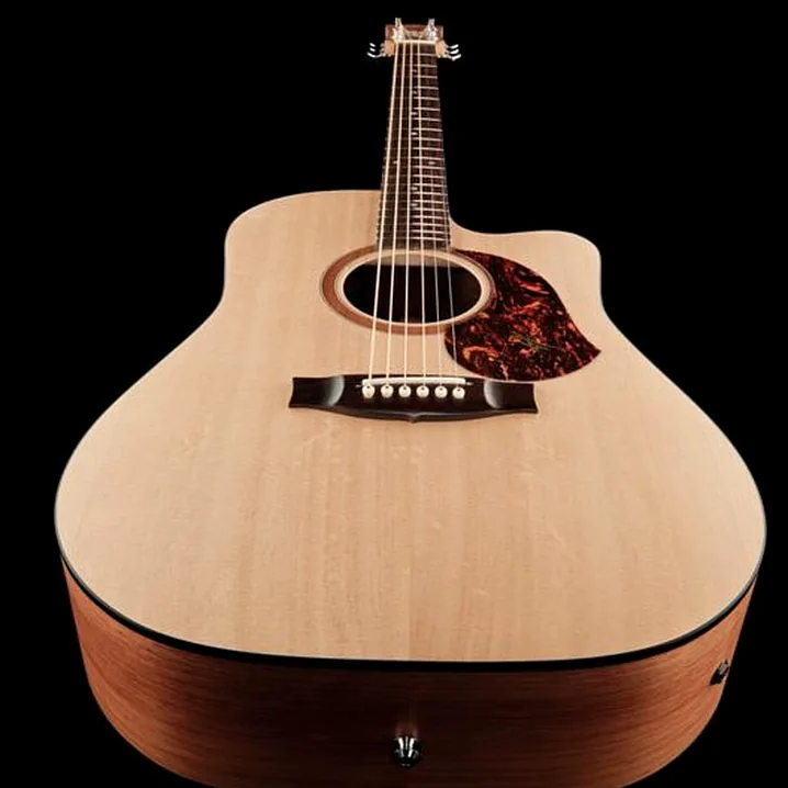 Recensione e Test: Maton SRS70C w/ Case