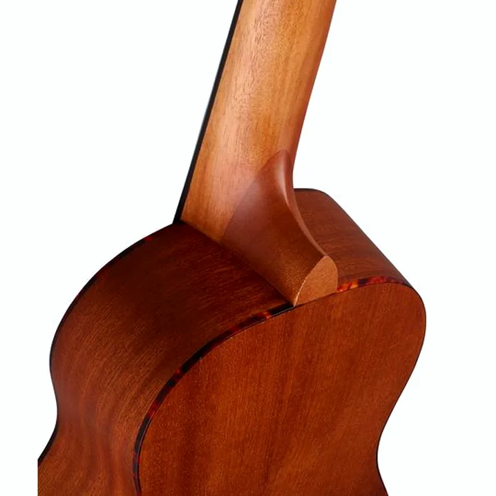 Recensione e Test Ortega RGL5 Guitarlele