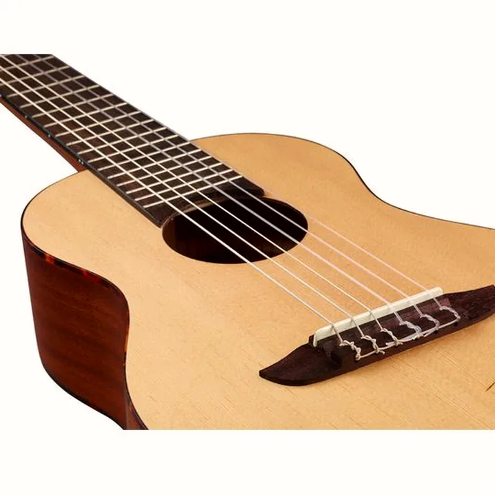Recensione e Test Ortega RGL5 Guitarlele