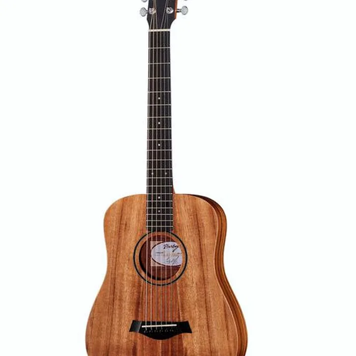 Recensione e Test: Taylor Baby Taylor BTe Koa