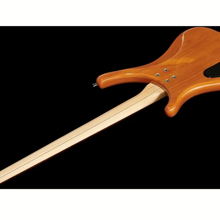 Recensione e Test: Warwick RockBass Infinity 4 NTHP
