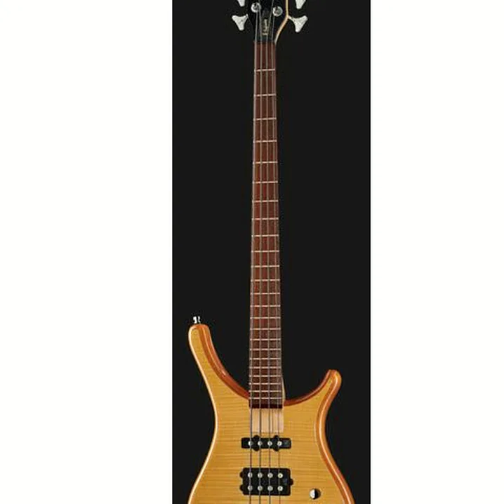 Recensione e Test: Warwick RockBass Infinity 4 NTHP