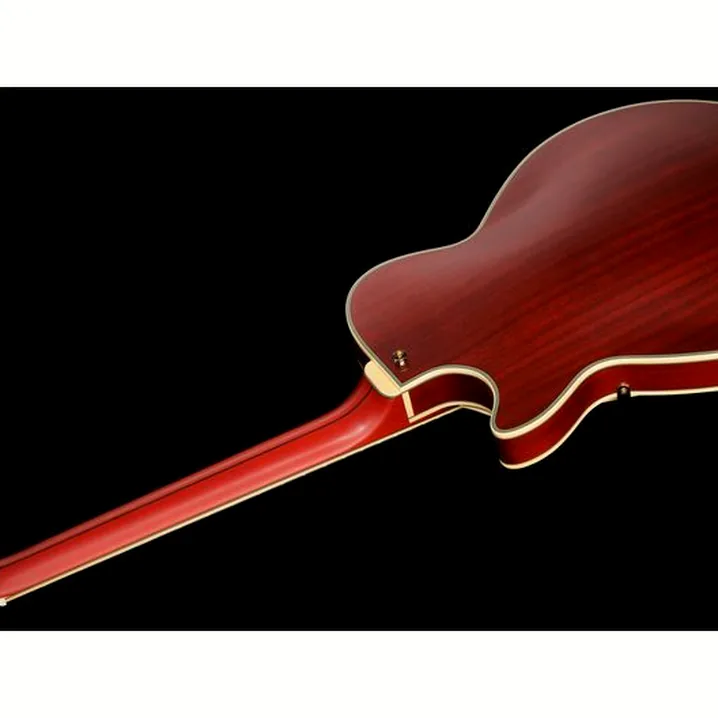 Recensione, Test Chitarra Elettrica DAngelico Deluxe SS Satin Trans Wine