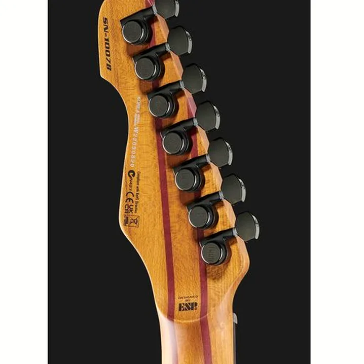 Recensione, Test Chitarra Elettrica ESP LTD SN-1007 Baritone HT BK Bl