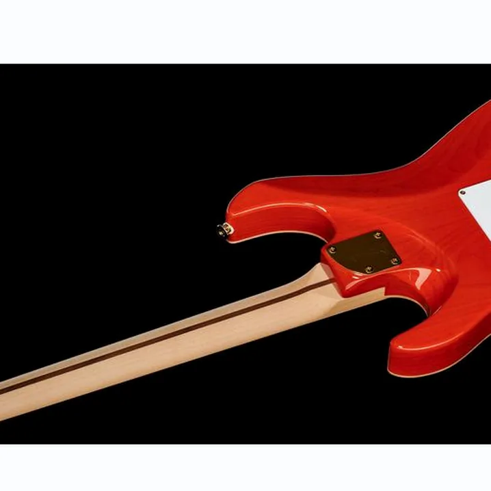 Recensione, Test Chitarra Elettrica FGN EOS FM R Expert Odyssey