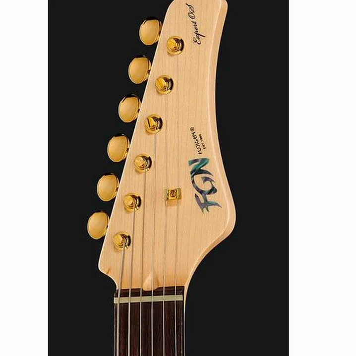 Recensione, Test Chitarra Elettrica FGN EOS FM R Expert Odyssey