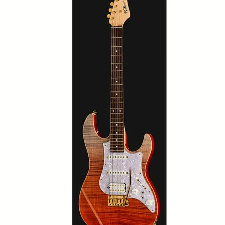 Recensione, Test Chitarra Elettrica FGN EOS FM R Expert Odyssey