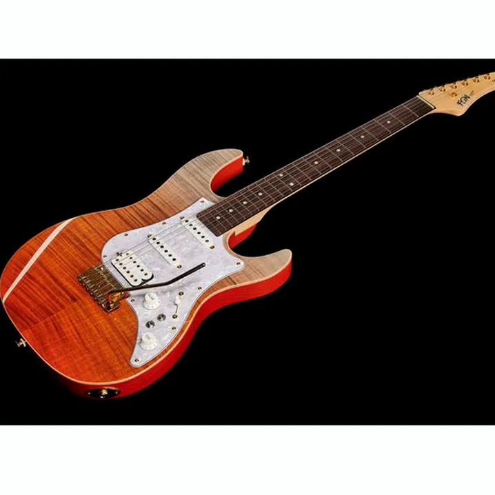 Recensione, Test Chitarra Elettrica FGN EOS FM R Expert Odyssey