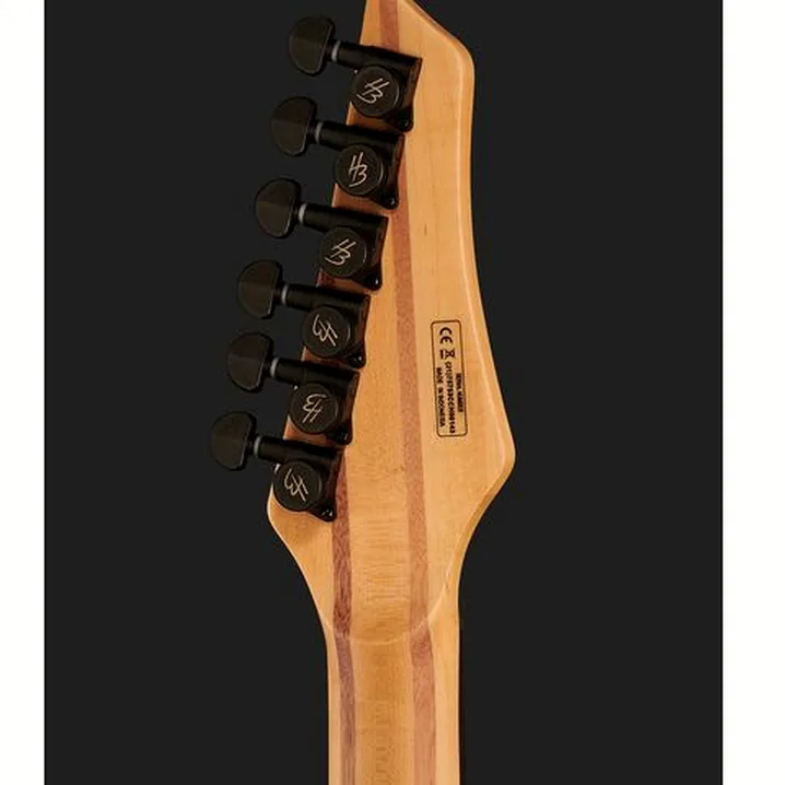 Recensione, Test Chitarra Elettrica Harley Benton Amarok-BT BKNT Flame Burst