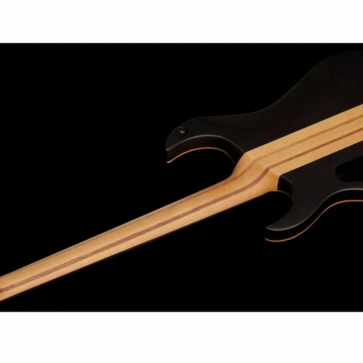 Recensione, Test Chitarra Elettrica Harley Benton Amarok-BT BKNT Flame Burst