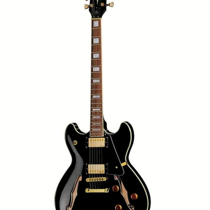 Recensione, Test Chitarra Elettrica Harley Benton HB-35Plus Black