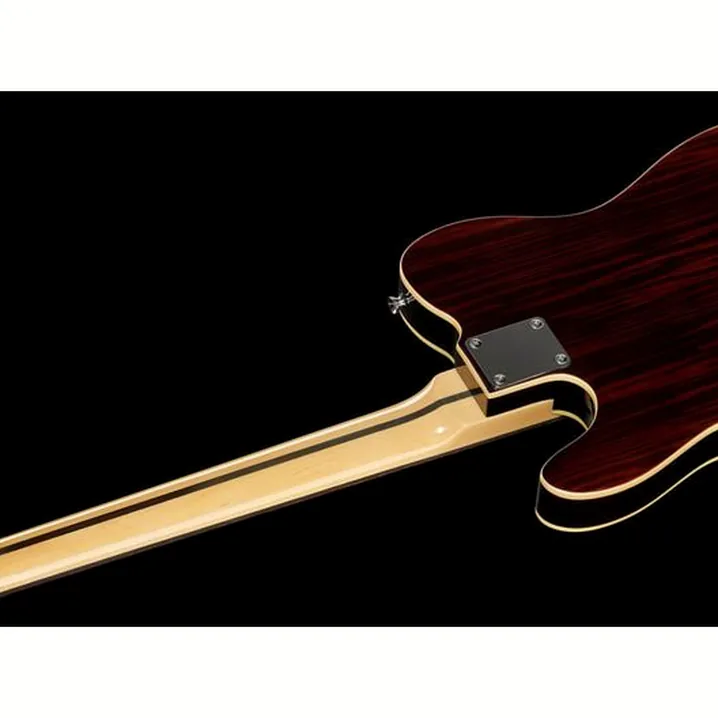 Recensione, Test Chitarra Elettrica Harley Benton TE-70RW Deluxe Set 1