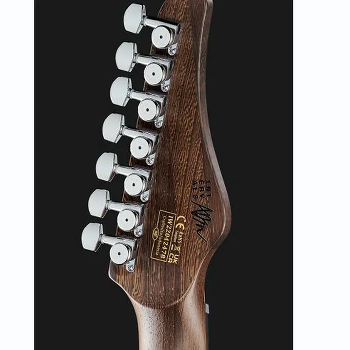 Recensione, Test Chitarra Elettrica Schecter Aaron Marshall AM-7 CS
