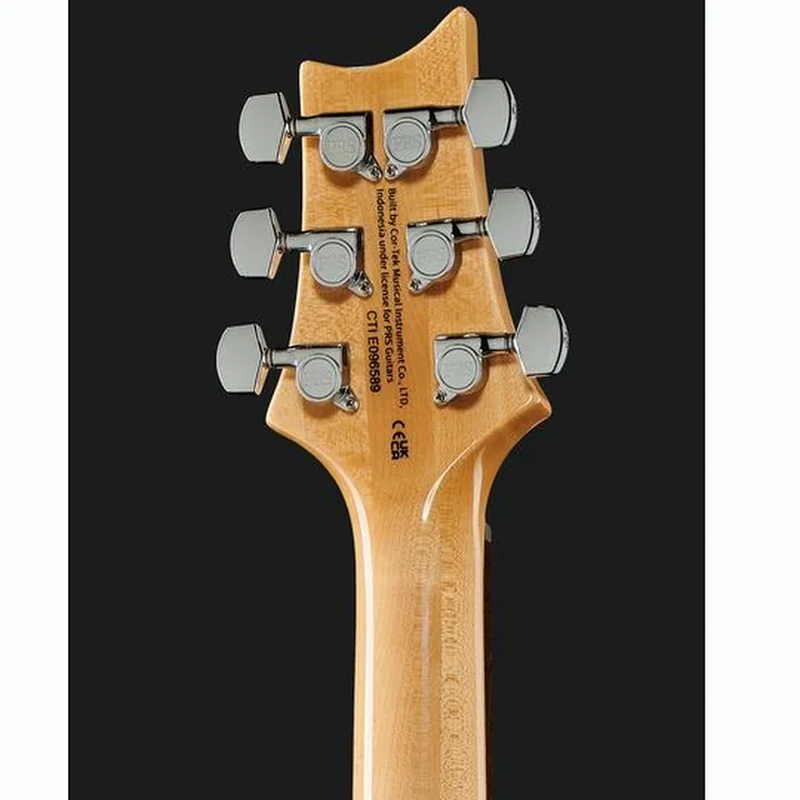 Recensione, Test Chitarra PRS SE Custom 22 Semi-Hollow SY
