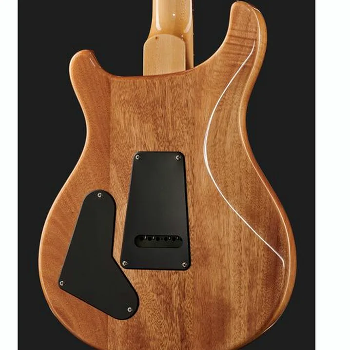 Recensione, Test Chitarra PRS SE Custom 22 Semi-Hollow SY