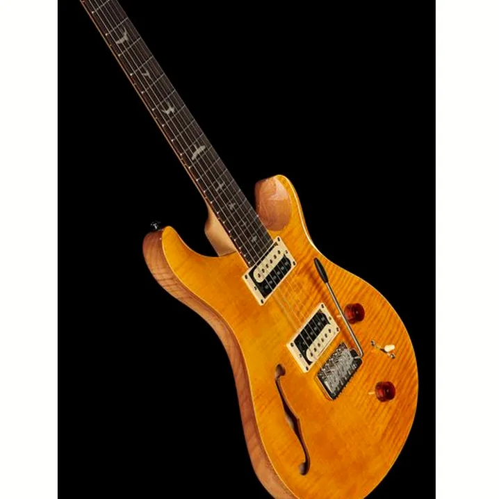 Recensione, Test Chitarra PRS SE Custom 22 Semi-Hollow SY