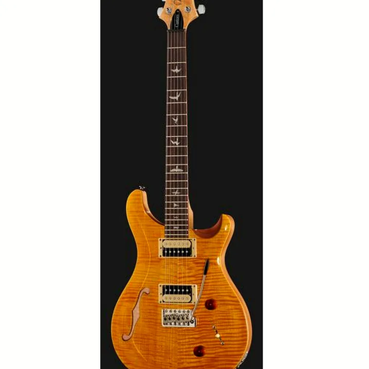 Recensione, Test Chitarra PRS SE Custom 22 Semi-Hollow SY