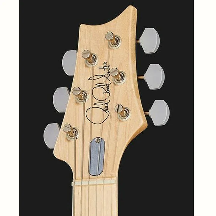 Recensione, Test della chitarra elettrica PRS John Mayer Silver Sky Satin MS