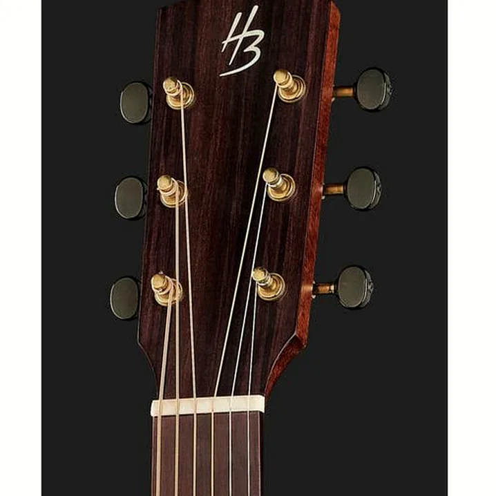 Recensione, Test Harley Benton CLA-15M SolidWood