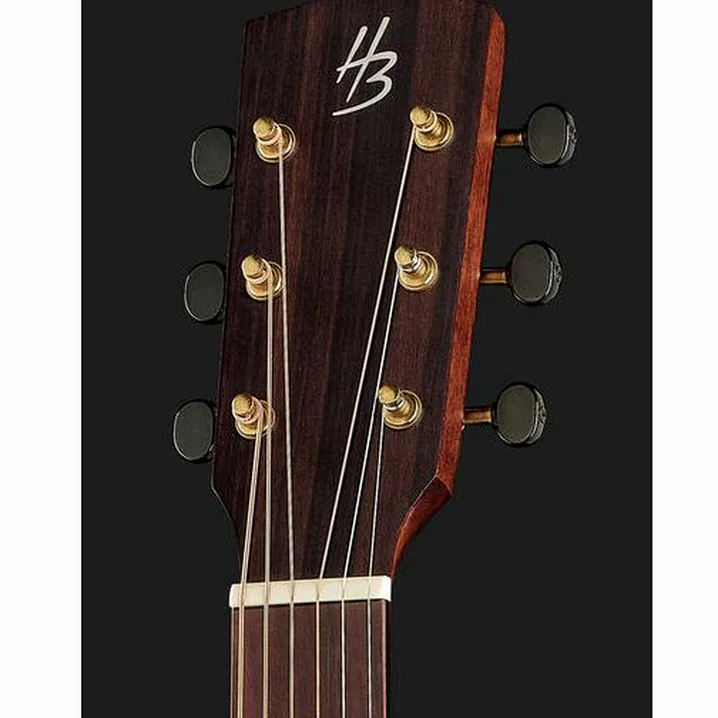 Recensione, Test: Harley Benton CLD-15MCE SolidWood
