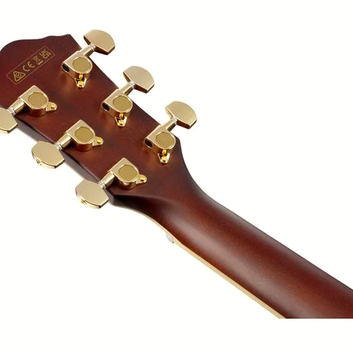 Recensione, Test: Ibanez AEWC12-RGF