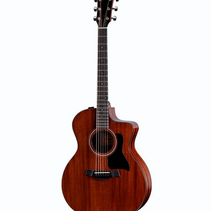 Recensione, Test: Taylor 224Ce Plus SE