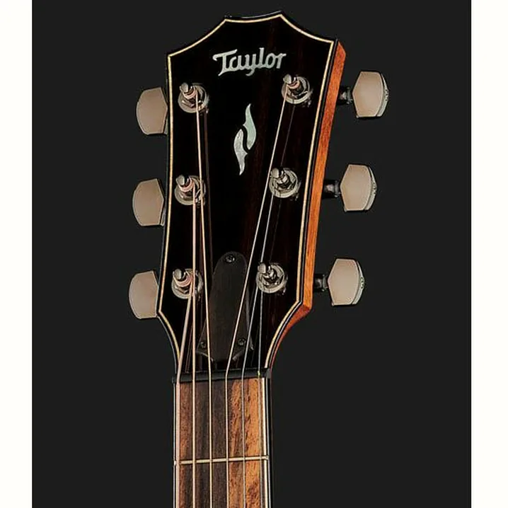 Recensione, Test: Taylor 814ce