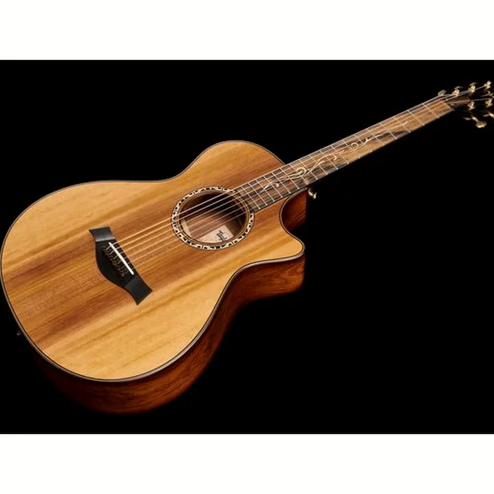 Recensione, Test: Taylor Custom #13 GC