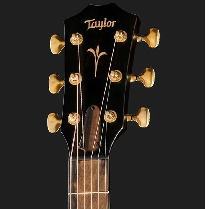 Recensione, Test: Taylor Custom #13 GC