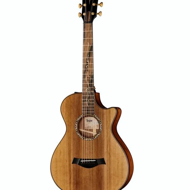 Recensione, Test: Taylor Custom #13 GC