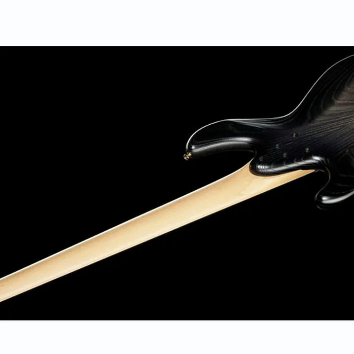 Sandberg Panther 5 fretless 35″, Test, Recensioni e Confronto