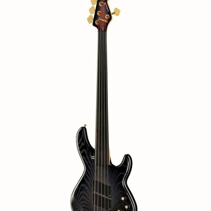 Sandberg Panther 5 fretless 35″, Test, Recensioni e Confronto