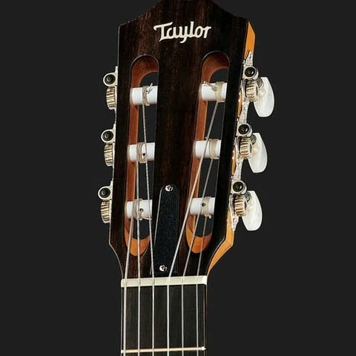 Taylor 214ce-N / Test, Recensioni e Confronto