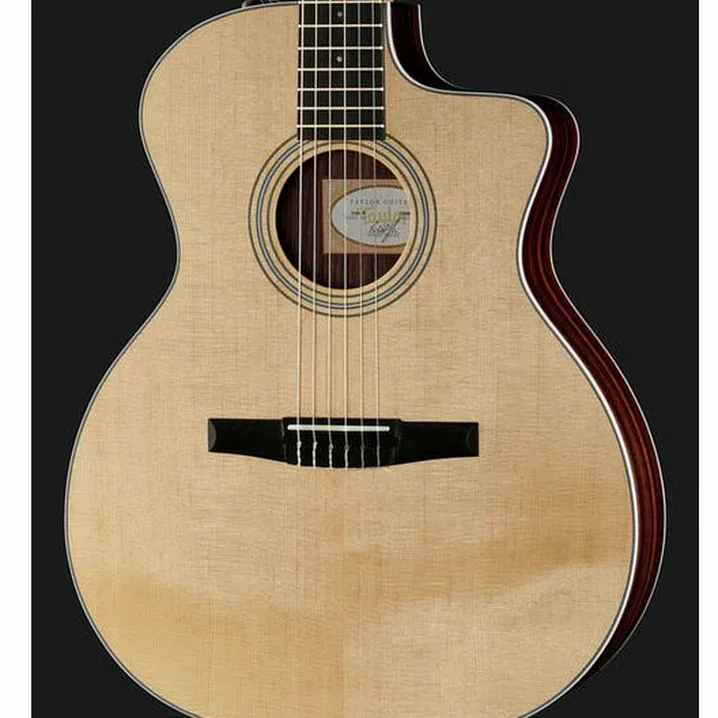 Taylor 214ce-N / Test, Recensioni e Confronto