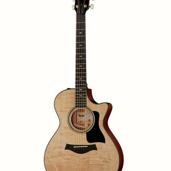 Taylor 312ce V-Class / Recensioni, Test