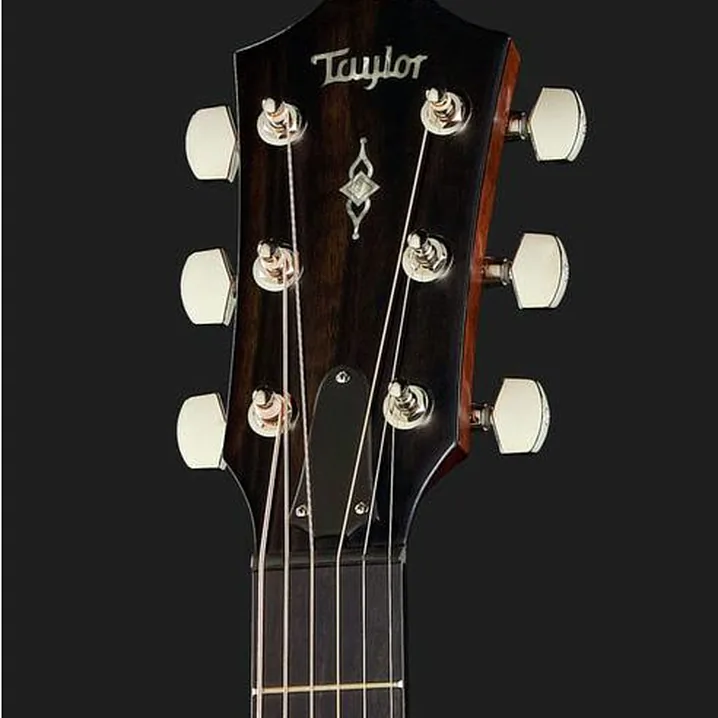 Taylor 312ce V-Class / Recensioni, Test