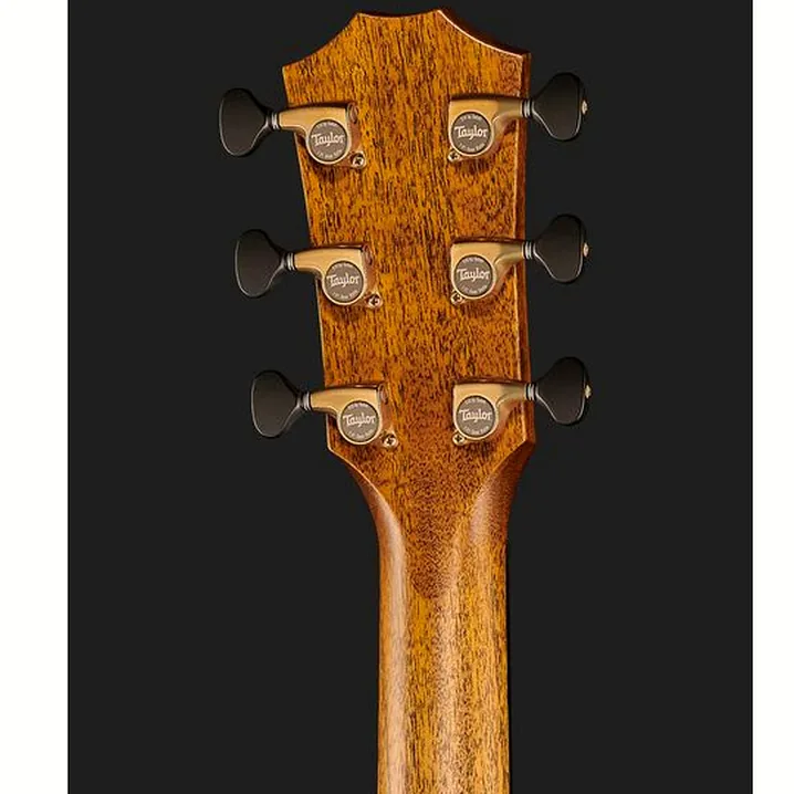 Taylor Custom #31 Gr. Orch. D.S.Burst Test, Comparativo, Recensioni