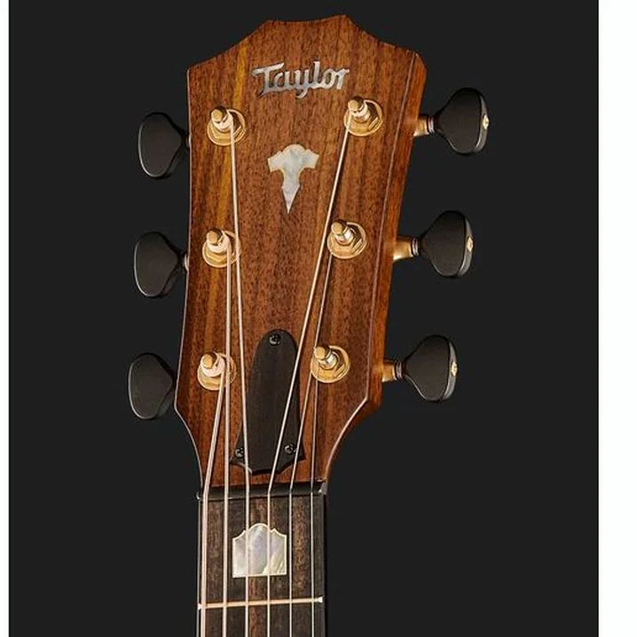 Taylor Custom #31 Gr. Orch. D.S.Burst Test, Comparativo, Recensioni