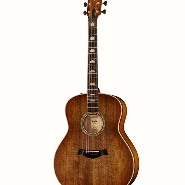 Taylor Custom #31 Gr. Orch. D.S.Burst Test, Comparativo, Recensioni