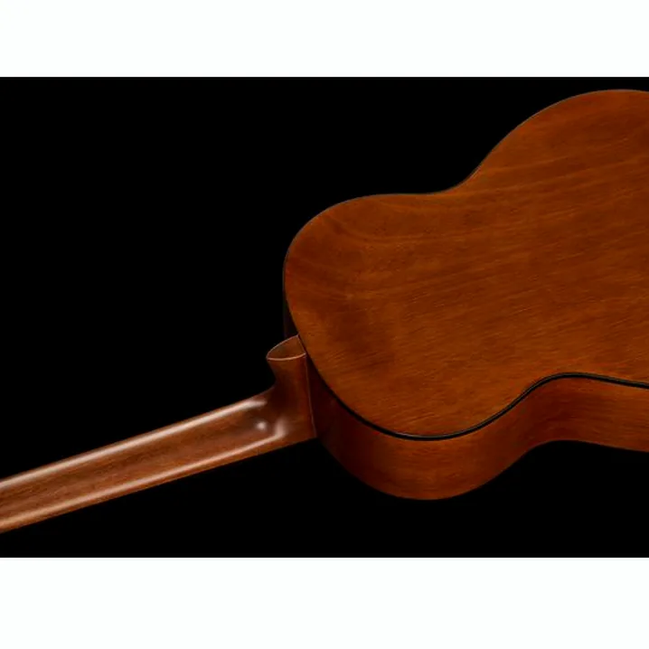 Gewa Student Natural 4/4 E-Acoustic: recensione e opinione