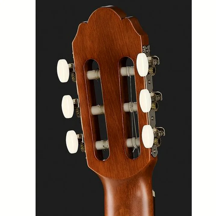 Gewa Student Natural 4/4 E-Acoustic: recensione e opinione