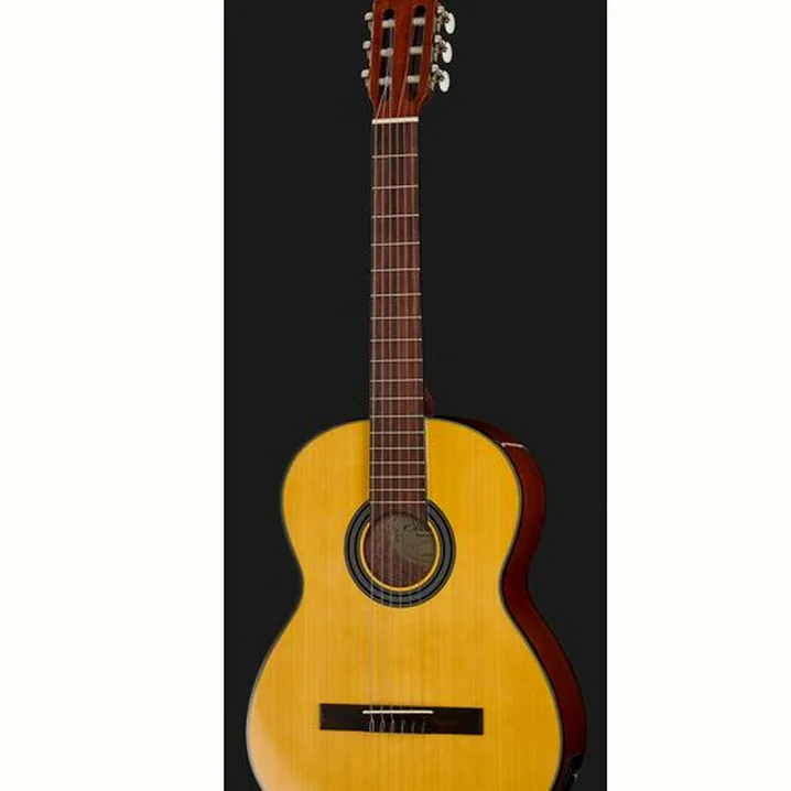 Gewa Student Natural 4/4 E-Acoustic: recensione e opinione