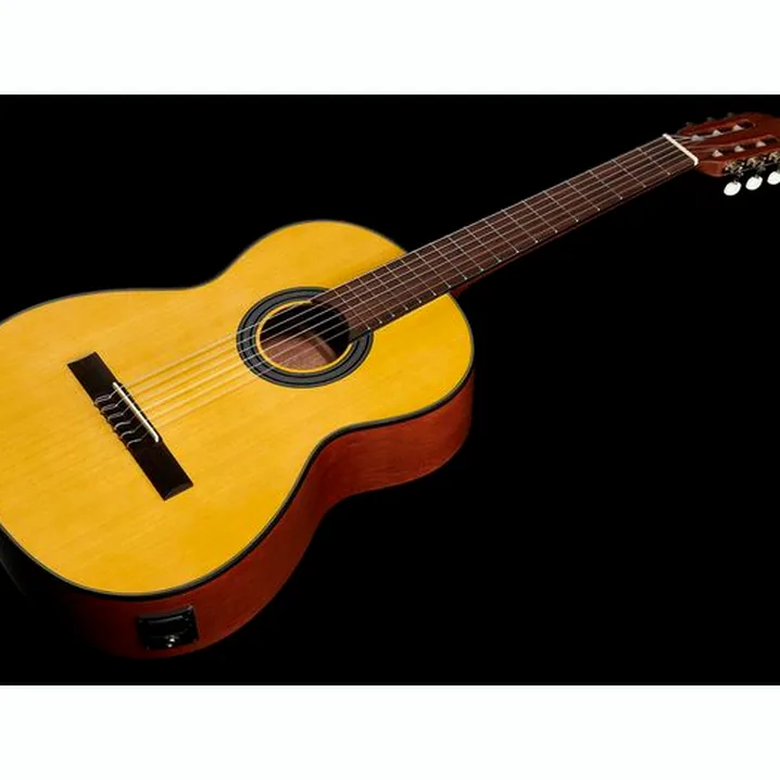 Gewa Student Natural 4/4 E-Acoustic: recensione e opinione