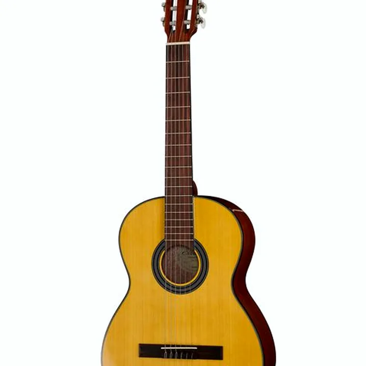 Gewa Student Natural 4/4 E-Acoustic: recensione e opinione