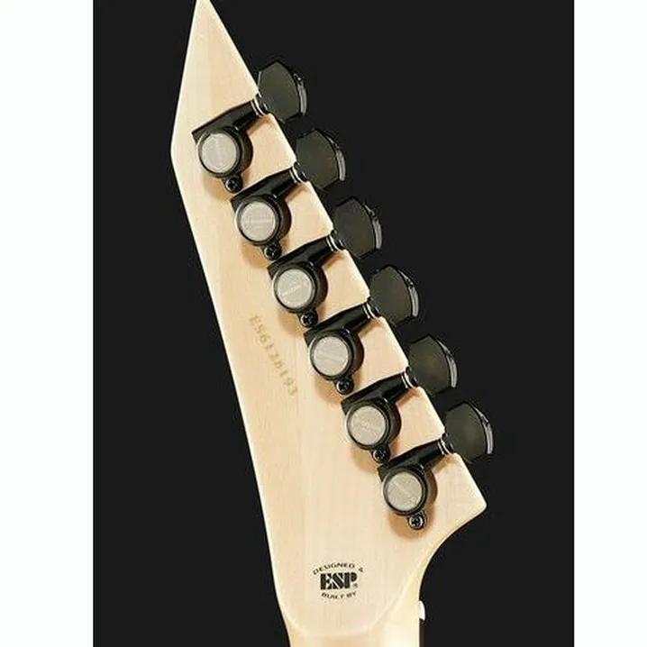 Test e Recensione Chitarra Elettrica ESP E-II Parkway Drive Jeff Ling